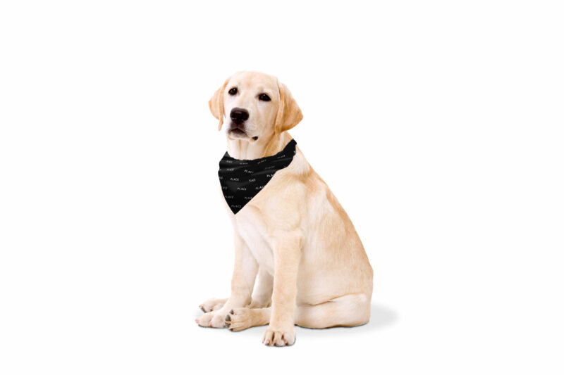 PLACE | Dog Bandanas